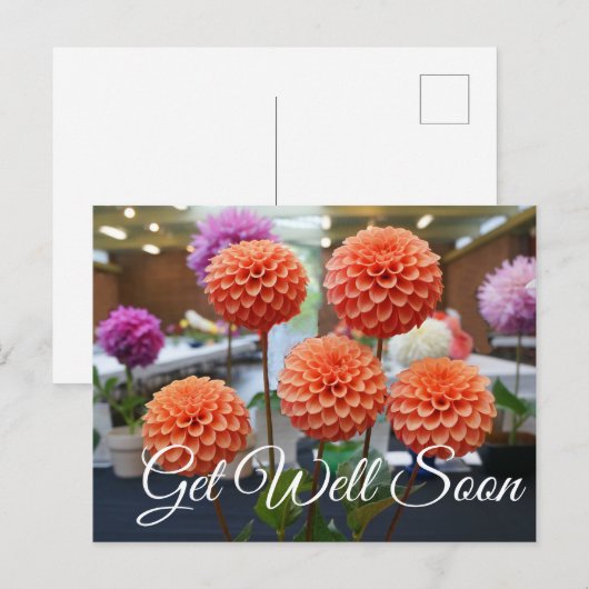 Binnenkort goed Roos Toscano #1 Briefkaart (Voorkant / Achterkant)