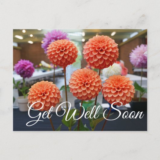 Binnenkort goed Roos Toscano #1 Briefkaart (Voorkant)