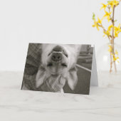 Binnenkort Kaart (Gele Bloem)