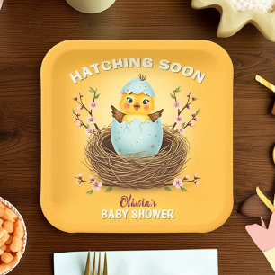 Binnenkort Uitkomende Kuikentje Baby Shower Papieren Bordje