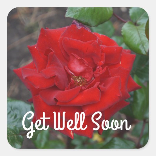 Binnenkort weer goed met Crimson Bouquet Roos #3 S Vierkante Sticker (Voorkant)