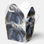 Binnenkort weer goed met ick Pug Dog Bedankdoosjes (Geopend)