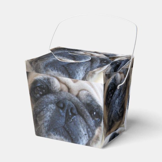 Binnenkort weer goed met ick Pug Dog Bedankdoosjes (Voorkant Zijde)