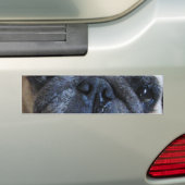 Binnenkort weer goed met ick Pug Dog Bumpersticker (Op auto)