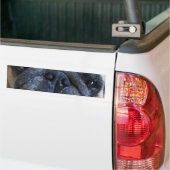 Binnenkort weer goed met ick Pug Dog Bumpersticker (Op Truck)