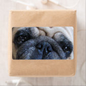 Binnenkort weer goed met ick Pug Dog Etiket (Insitu)
