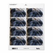 Binnenkort weer goed met ick Pug Dog Etiket (Full Sheet)