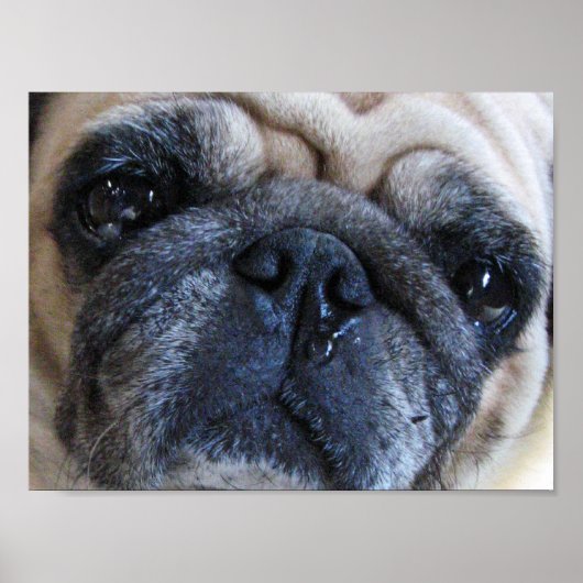 Binnenkort weer goed met ick Pug Dog Poster (Voorkant)