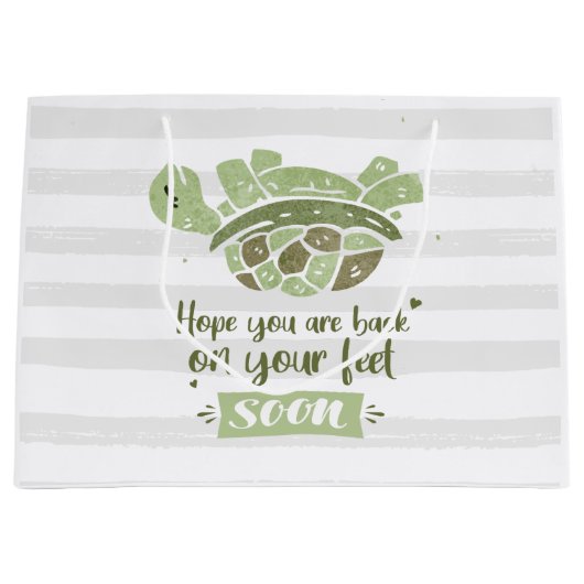 Binnenkort weer goed met schildpadschilders groot cadeauzakje (Voorkant)