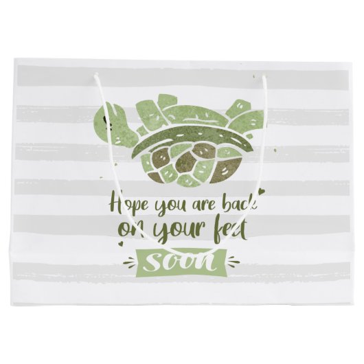 Binnenkort weer goed met schildpadschilders groot cadeauzakje (Achterkant)