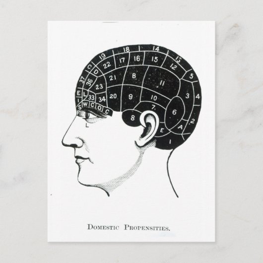 Binnenland Briefkaart (Voorkant)