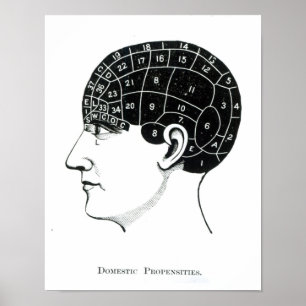 Binnenland Poster