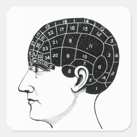 Binnenland Vierkante Sticker (Voorkant)