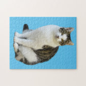 BINNENLANDSE CAT-JIGSAW PUZZLE LEGPUZZEL (Horizontaal)