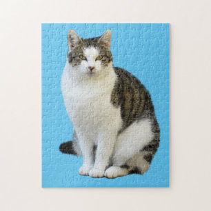 BINNENLANDSE CAT-JIGSAW PUZZLE LEGPUZZEL