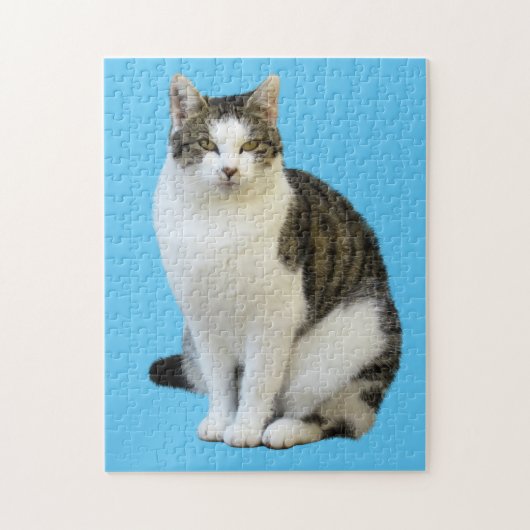 BINNENLANDSE CAT-JIGSAW PUZZLE LEGPUZZEL (Verticaal)