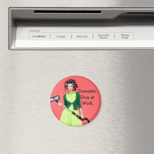 Binnenlandse Diva op het werk Afbeelding Magnet (Insitu (Vaatwasser))