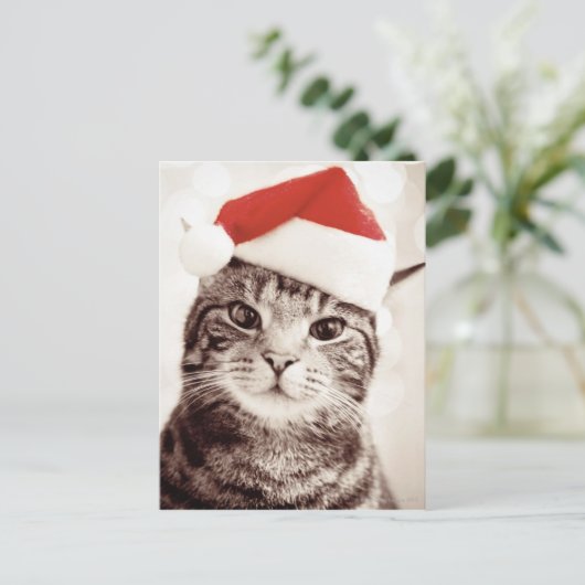 Binnenlandse gestreepte katkat die het rode pet feestdagenkaart (Staand voorkant)