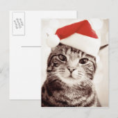 Binnenlandse gestreepte katkat die het rode pet feestdagenkaart (Voorkant / Achterkant)