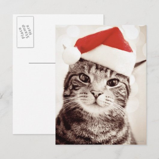 Binnenlandse gestreepte katkat die het rode pet feestdagenkaart (Voorkant / Achterkant)