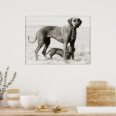 binnenlandse veiligheid poster (Keuken)