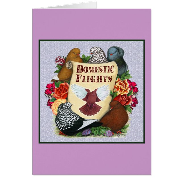 Binnenlandse vliegrol (Voorkant)