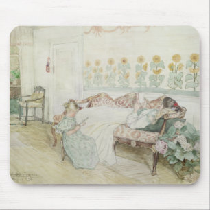 Binnenlandse Zaken, 1898 Muismat