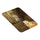 Binnenlandse Zaken van de Sint-Peter-kathedraal in Magneet (Rechterzijde)