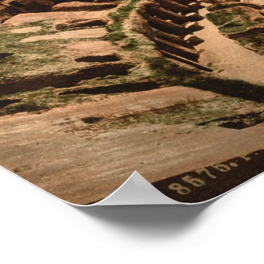 Binnenlandse Zaken van het Colosseum, Rome, Italië Poster (Hoek)