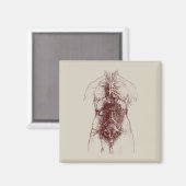 binnenlichaam magneet (Voorkant / Achterkant)