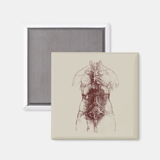 binnenlichaam magneet (Voorkant / Achterkant)