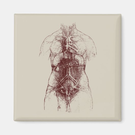 binnenlichaam magneet (Voorkant)