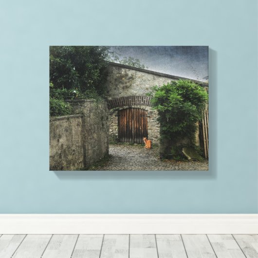 Binnenplaats Cat Canvas Afdruk (Insitu (Houten vloer))