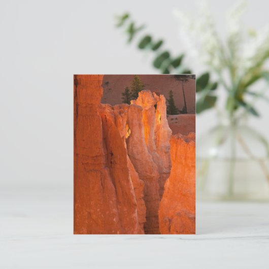 Binnenste gloed briefkaart (Staand voorkant)