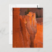 Binnenste gloed briefkaart (Voorkant / Achterkant)