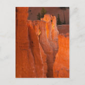 Binnenste gloed briefkaart (Voorkant)