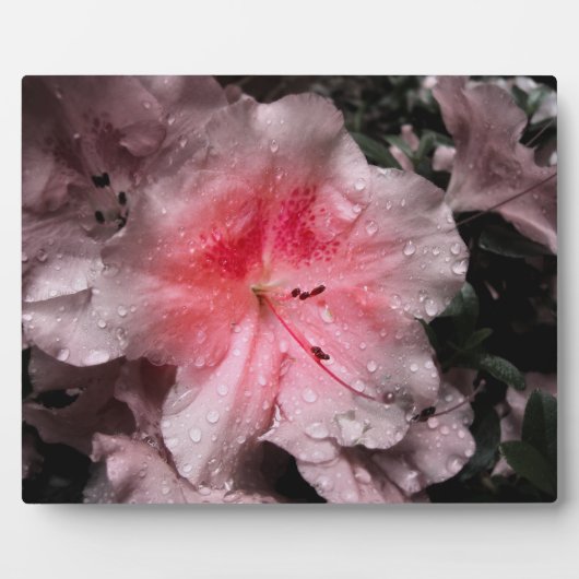 Binnenste gloed foto Plaque Fotoplaat (Voorkant)