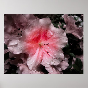 Binnenste gloedafdruk poster