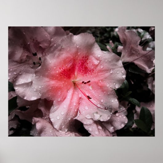 Binnenste gloedafdruk poster (Voorkant)