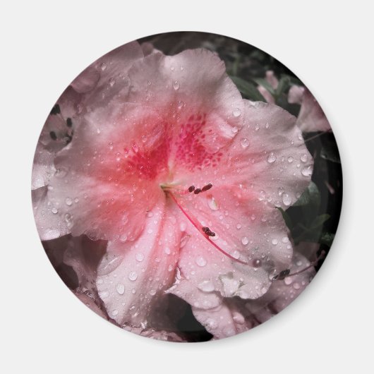 Binnenste gloedmagneet magneet (Voorkant)