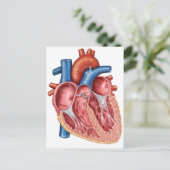 Binnenste van het menselijk hart briefkaart (Staand voorkant)