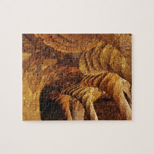 Binnenvault (steen) legpuzzel (Horizontaal)