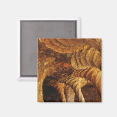 Binnenvault (steen) magneet (Voorkant / Achterkant)