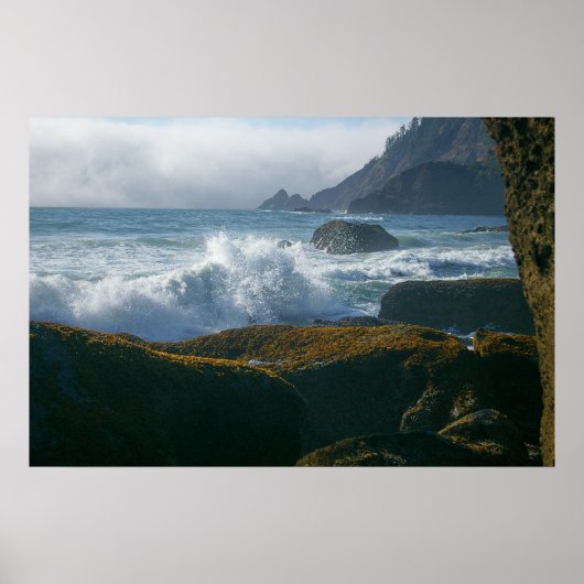 Binnenvloed aan de oregonkust poster (Voorkant)