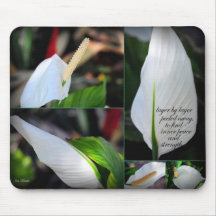 Binnenvrede en kracht