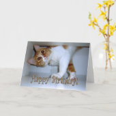 Binnenwippen bij Kitty - Gefeliciteerd! Kaart (Gele Bloem)