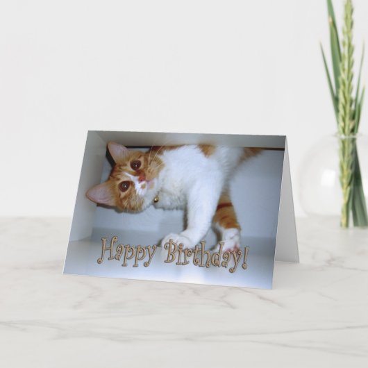 Binnenwippen bij Kitty - Gefeliciteerd! Kaart (Voorkant)