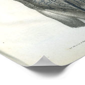 Binnenzijde van Abdomen Interne Anatomie Afdrukken Poster (Hoek)