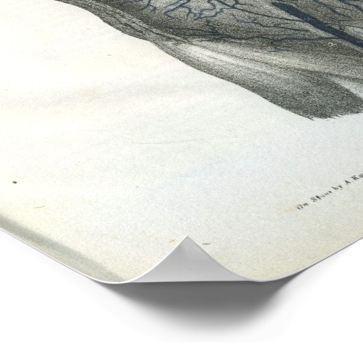 Binnenzijde van Abdomen Interne Anatomie Afdrukken Poster (Hoek)