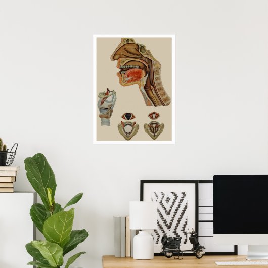 "BINNERWERKINGEN"  SKELETAAL-POSTER POSTER (Thuiskantoor)